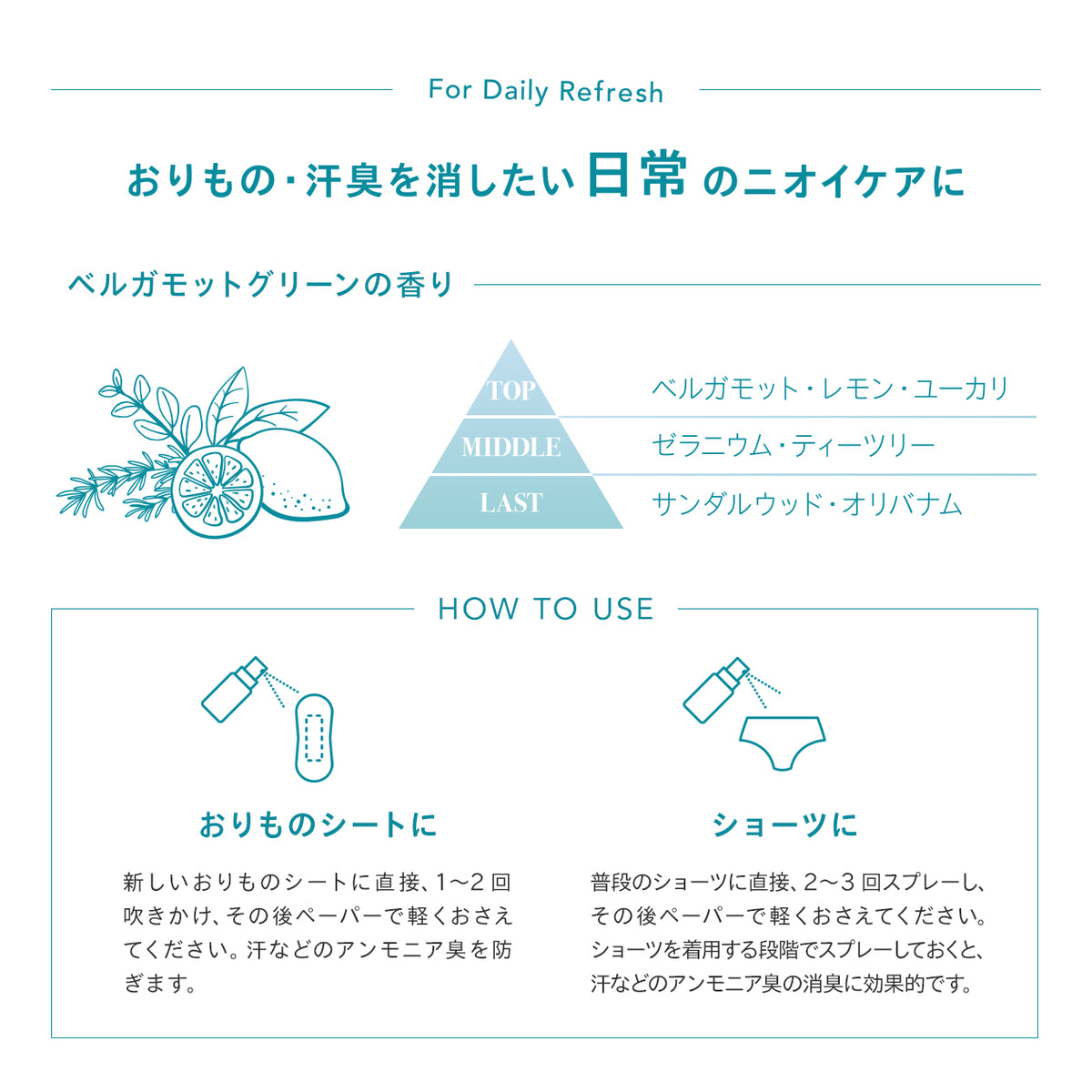 韓国で大人気ベアアロマ 7_FITS___2_1200x.jpg?v=1746763783