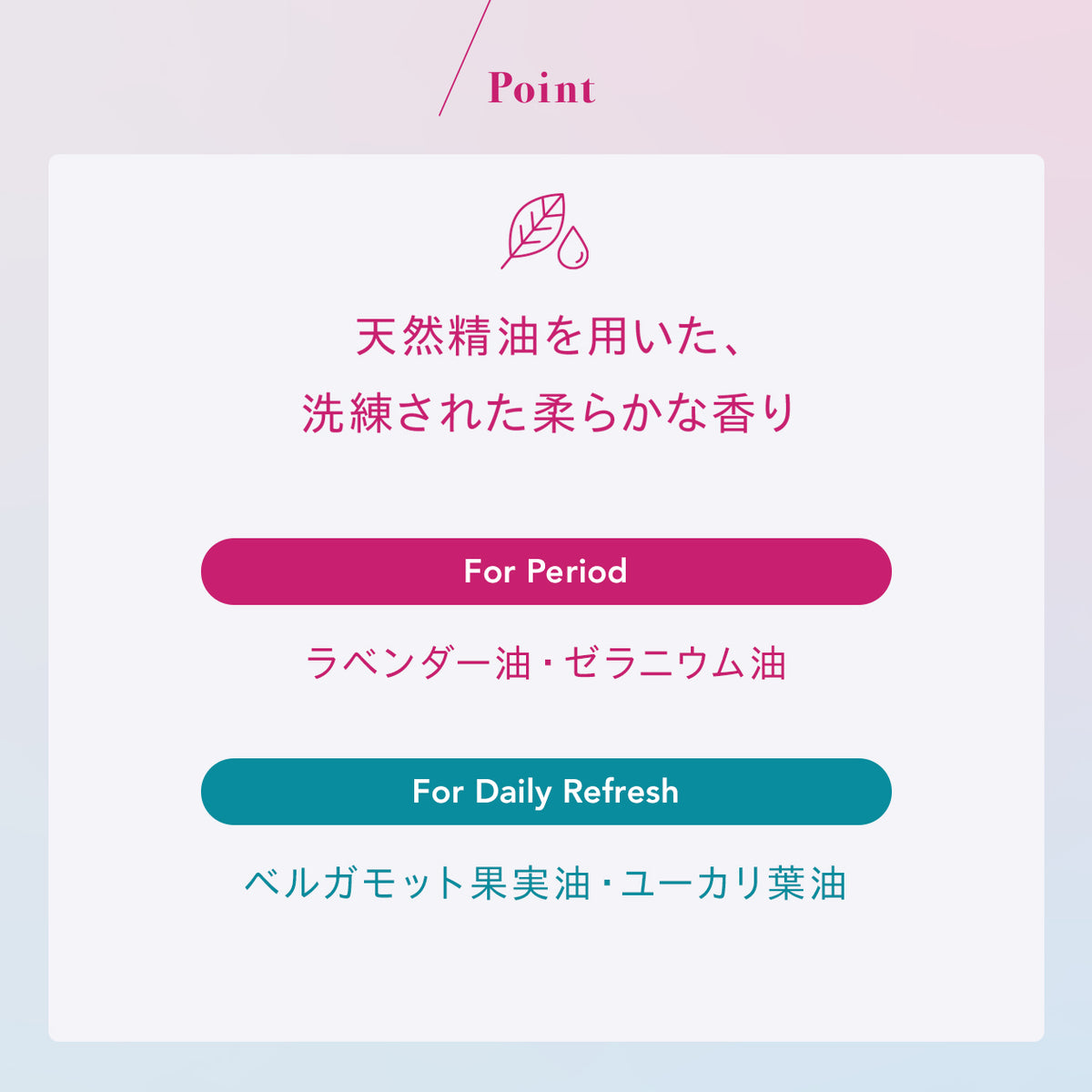 韓国で大人気ベアアロマ 7_FITS___2_1200x.jpg?v=1746763783